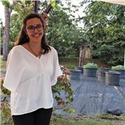 Laureata in economia offre lezioni di matematica